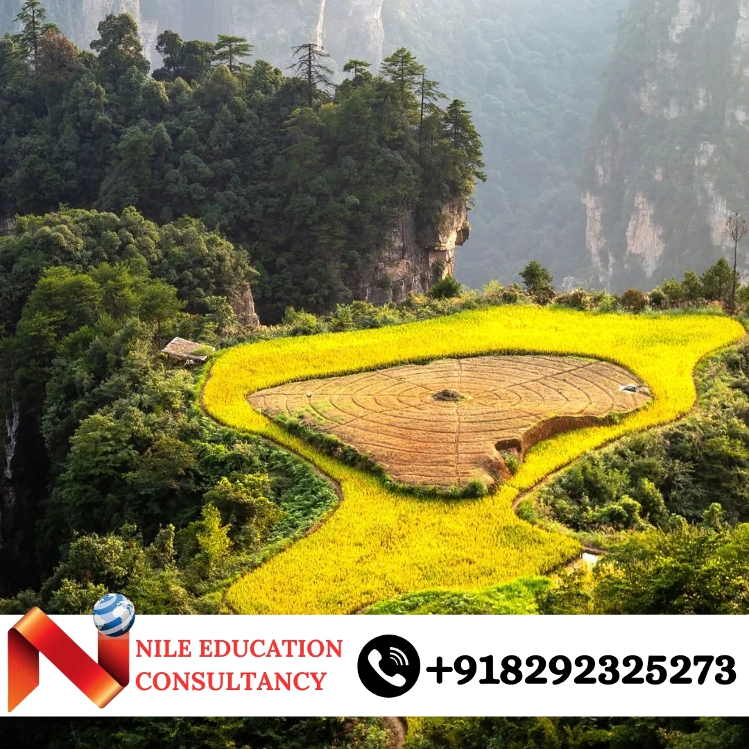 Jilin Medical College Indian Students